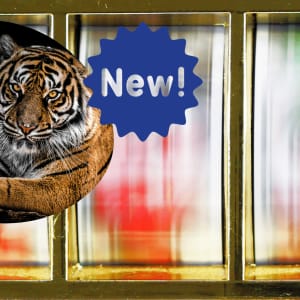 Relax Gaming toivottaa tervetulleeksi vuoden 2022 Tiger Kingdom Infinity Reels -kelat